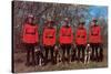 Canadian Mounties with Dogs-null-Stretched Canvas