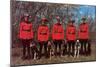 Canadian Mounties with Dogs-null-Mounted Art Print