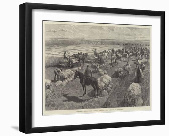 Canadian North-West Farming, Reaping the Harvest in Manitoba-null-Framed Giclee Print