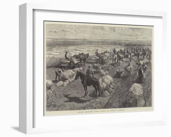 Canadian North-West Farming, Reaping the Harvest in Manitoba-null-Framed Giclee Print