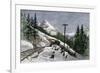 Canadian Pacific Railroad Snowshed at Ross Peak, British Columbia, 1880s-null-Framed Giclee Print