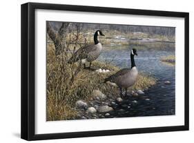 Canadian Pair-Jeff Tift-Framed Giclee Print