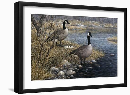 Canadian Pair-Jeff Tift-Framed Premium Giclee Print