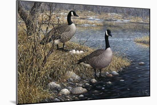 Canadian Pair-Jeff Tift-Mounted Premium Giclee Print