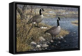 Canadian Pair-Jeff Tift-Framed Stretched Canvas