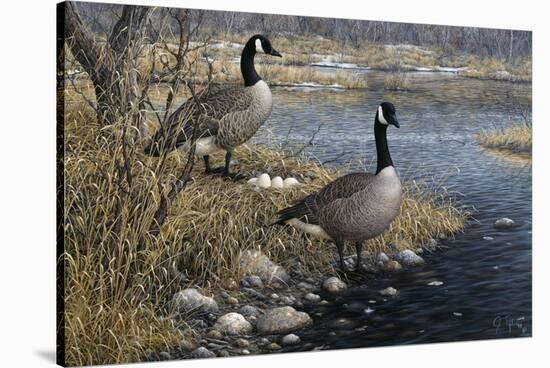 Canadian Pair-Jeff Tift-Stretched Canvas