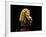 Canadian Pop Music Star Celine Dion Singing Into Microphone During "Hirshfeld Drawing" Function-Dave Allocca-Framed Premium Photographic Print