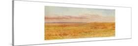 'Canadian Prairie', 1924-Unknown-Stretched Canvas