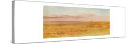 Stretched Canvas