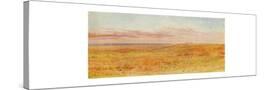 Stretched Canvas