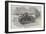 Canadian Prize Fire-Engine-null-Framed Giclee Print