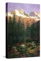 Canadian Rockies-Albert Bierstadt-Stretched Canvas