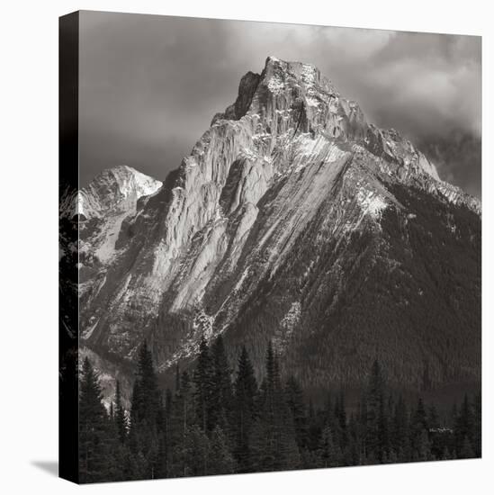 Canadian Rockies-Alan Majchrowicz-Stretched Canvas