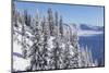 Canadian Rocky Mountains, British Columbia-Udo Bernhart-Mounted Photographic Print