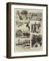 Canadian Sketches, a Moose-Hunting Expedition, on the Road-Sydney Prior Hall-Framed Giclee Print