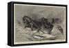 Canadian Sketches, Crossing the Ice-Bridge from the Isle of St Orleans to Quebec in a Snowstorm-Sydney Prior Hall-Framed Stretched Canvas