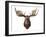 Canadian Taxidermy Moose Head Hunting Trophy, Mounted on an Oak Shield, Vancouver-null-Framed Photographic Print