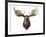 Canadian Taxidermy Moose Head Hunting Trophy, Mounted on an Oak Shield, Vancouver-null-Framed Photographic Print