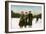 Canadian Winter Sports: a Jolly Trio, Grenadier Pond, Toronto, Canada, 20th Century-null-Framed Giclee Print