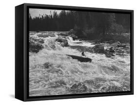 Canadian Woodsman Robert Rock, Falling Out of the Canoe as He Tries a Set Rapids-null-Framed Stretched Canvas