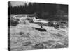 Canadian Woodsman Robert Rock, Falling Out of the Canoe as He Tries a Set Rapids-null-Stretched Canvas