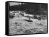 Canadian Woodsman Robert Rock, Falling Out of the Canoe as He Tries a Set Rapids-null-Framed Stretched Canvas