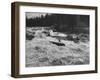 Canadian Woodsman Robert Rock, Falling Out of the Canoe as He Tries a Set Rapids-null-Framed Photographic Print