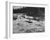 Canadian Woodsman Robert Rock, Falling Out of the Canoe as He Tries a Set Rapids-null-Framed Photographic Print