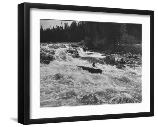 Premium Photographic Print, , large