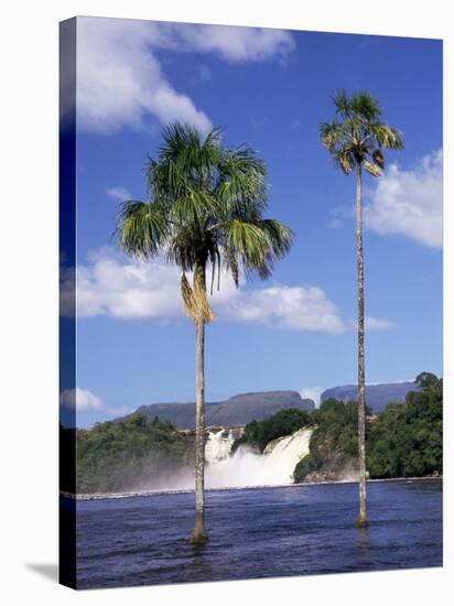 Canaima, Gran Sabana, Venezuela, South America-Sergio Pitamitz-Stretched Canvas