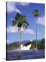 Canaima, Gran Sabana, Venezuela, South America-Sergio Pitamitz-Stretched Canvas