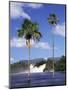 Canaima, Gran Sabana, Venezuela, South America-Sergio Pitamitz-Mounted Photographic Print