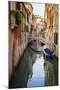 Canal and houses, Venice, Veneto, Italy-Russ Bishop-Mounted Photographic Print