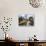 Canal and Lock Keepers Cottage at Castlefield, Manchester, England, UK-Richardson Peter-Framed Photographic Print displayed on a wall