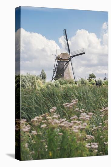 Canal and Windmills, Kinderdijk, UNESCO World Heritage Site, South Holland, the Netherlands, Europe-Mark Doherty-Stretched Canvas