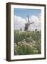 Canal and Windmills, Kinderdijk, UNESCO World Heritage Site, South Holland, the Netherlands, Europe-Mark Doherty-Framed Photographic Print