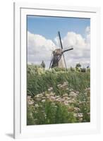 Canal and Windmills, Kinderdijk, UNESCO World Heritage Site, South Holland, the Netherlands, Europe-Mark Doherty-Framed Photographic Print