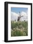 Canal and Windmills, Kinderdijk, UNESCO World Heritage Site, South Holland, the Netherlands, Europe-Mark Doherty-Framed Photographic Print