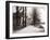 Canal Bank, Broek, Netherlands, 1898-James Batkin-Framed Photographic Print