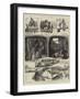 Canal Boat Life in England-null-Framed Giclee Print