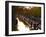 Canal Boats, Little Venice, London W9, England, United Kingdom, Europe-Mark Mawson-Framed Photographic Print