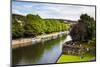 Canal Boats on the River Avon, Bath, Avon and Somerset, England, United Kingdom, Europe-Matthew Williams-Ellis-Mounted Photographic Print