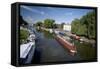Canal Boats on the River Ouse, Ely, Cambridgeshire, England-null-Framed Stretched Canvas
