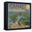 Canal Brand - Rialto, California - Citrus Crate Label-Lantern Press-Framed Stretched Canvas