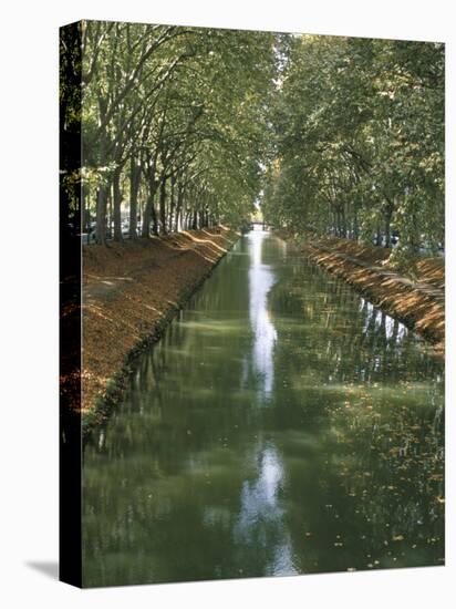 Canal De Brienne, Town of Toulouse, Haute Garonne, Midi-Pyrenees, France-null-Stretched Canvas