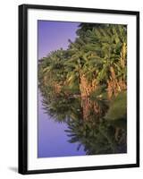 Canal de Marapendi, Rio de Janeiro, Brazil-null-Framed Photographic Print