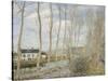 Canal Du Loing, 1892-Alfred Sisley-Stretched Canvas