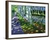 Canal Du Midi, France-Andrew Macara-Framed Giclee Print