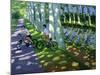 Canal Du Midi, France-Andrew Macara-Mounted Giclee Print