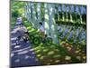 Canal Du Midi, France-Andrew Macara-Mounted Giclee Print